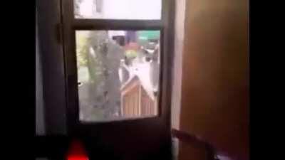 Should have let that cat in