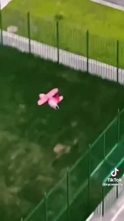 Me trying to land with a bomber in Air RB.