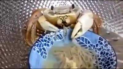 me parece que no da grabarlo a erny mientras come, todo bien que quieren la foto pero respeten su privacidad no sean downs loco