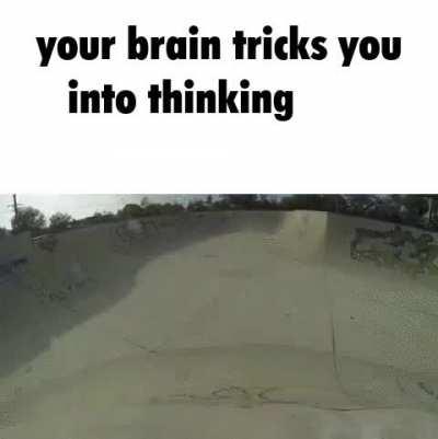 skrinky shrumblo 🐈‍⬛