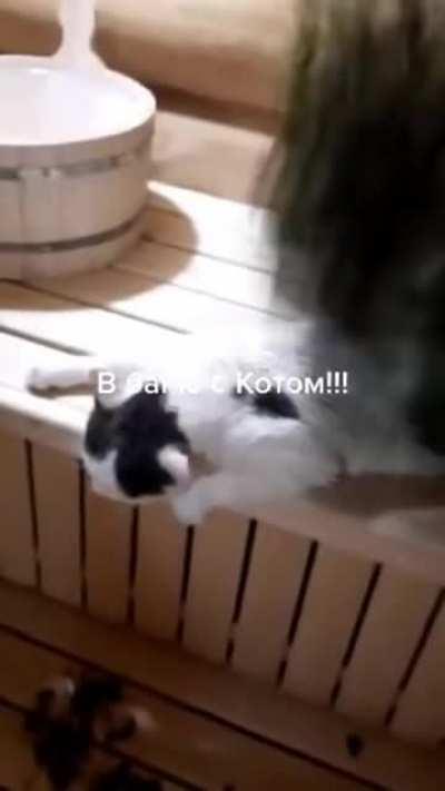 А потом они пиво пили