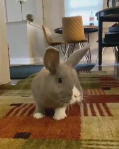 Lady exploring a new area for the first time