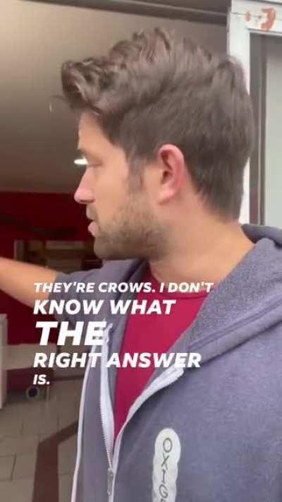 Doesn't even matter- a drone is a drone, no matter which model it is.