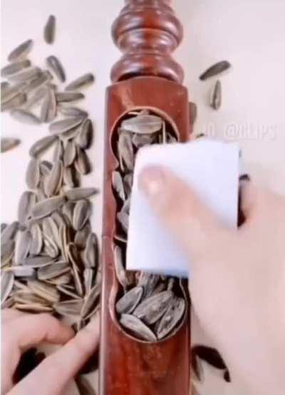 DiWHY crawdad edition