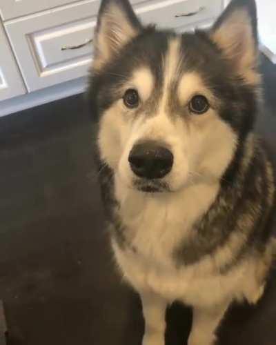 Your cat has taken over my bed. Let's do something