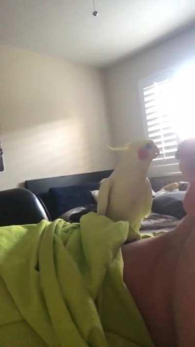 Sorry, he now goes by El Bonkers