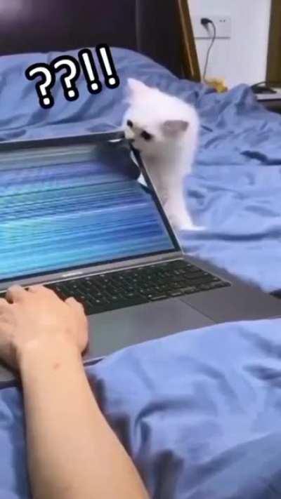 Seems like the right subreddit for this!