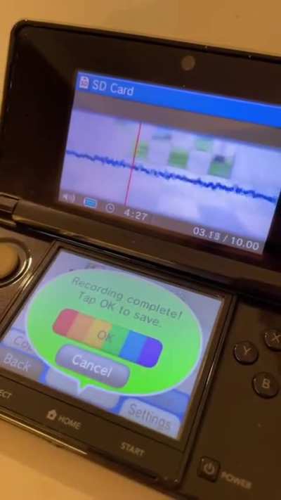 real file embed in every DSi