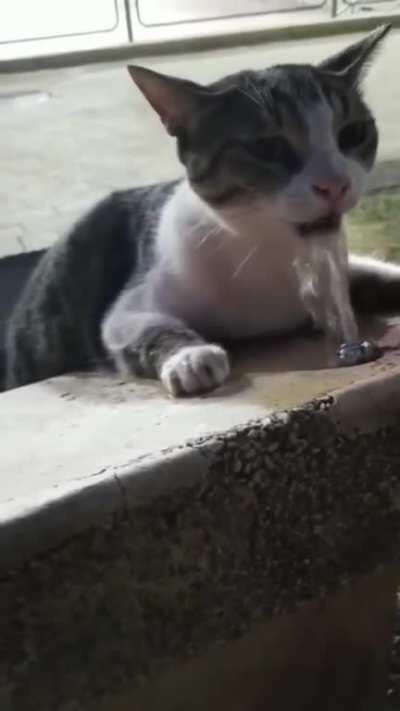sIcK fUck DrOwnS kItTy