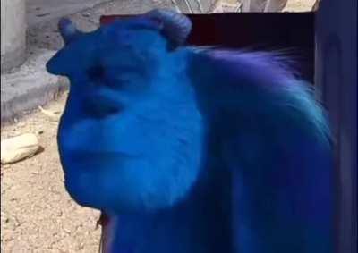 the turkey room 🙂