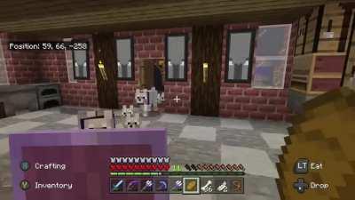 Back from a walk with my dog