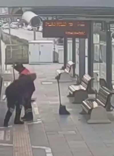 Tram security guard rescues cat by pressing emergency button