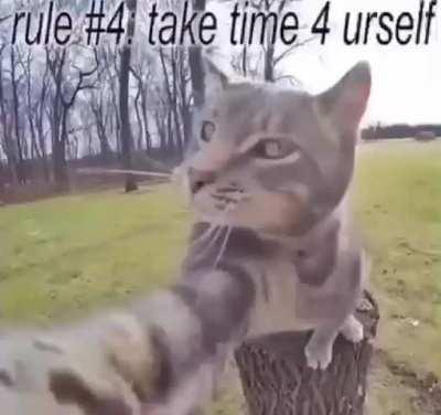 4000 members!! 🎉🎉🎉