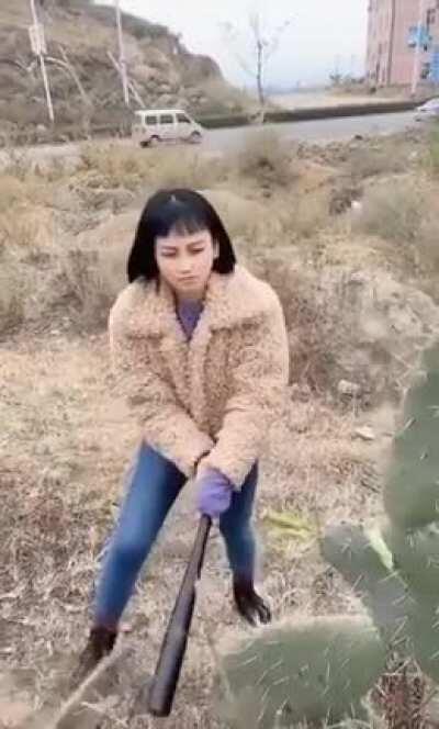 Good. Who the fuck attacks a cactus with a baseball bat??