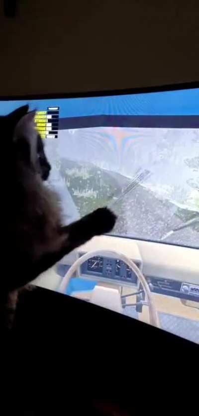 Wipers must be destroyed