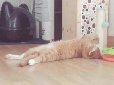 just one of those days, when you want to do something but you don't at the same time