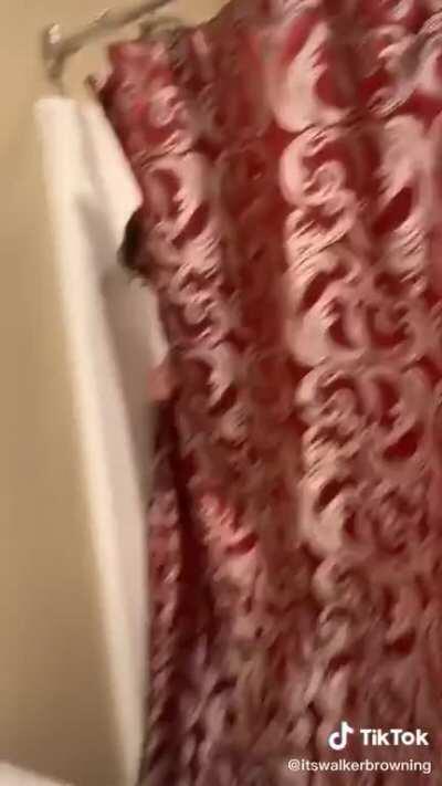 Jogadores de fogaréu livre de valor monetário tomando banho