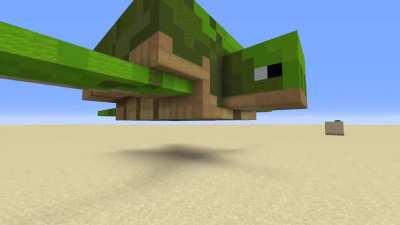 My turtle won't eat. Maybe I fed it too much