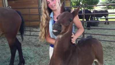 You ever see a horse smile?