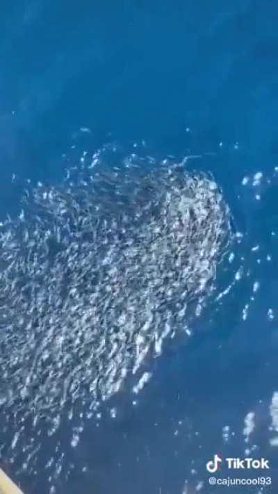 Throwing an apple from an offshore oilrig