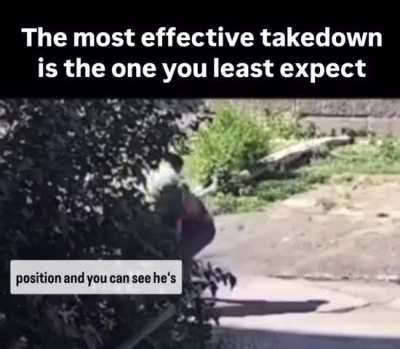 Nah that ending is wild 😂