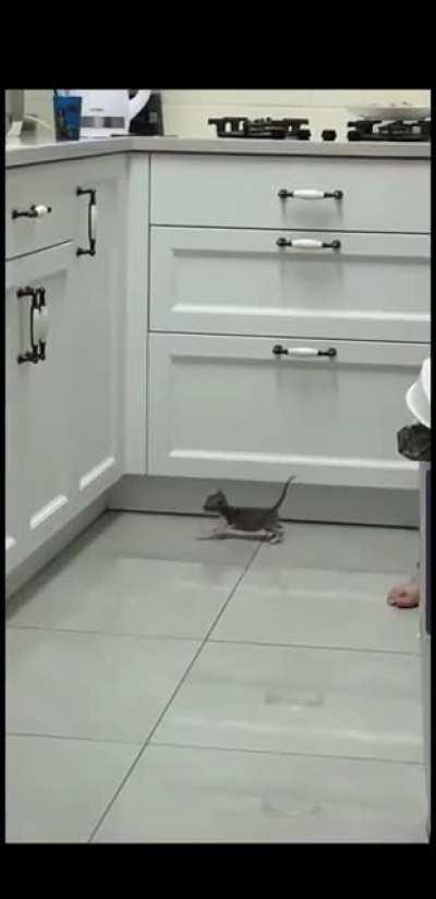 So close.... but yet so far.