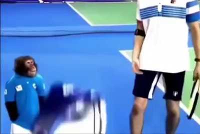 Monke doesn’t take orders from man 