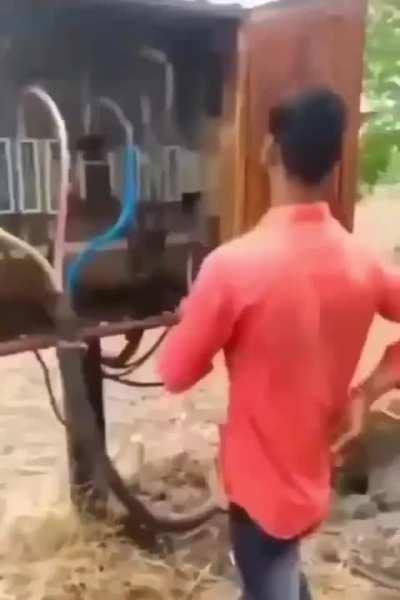 Indian magic trick 