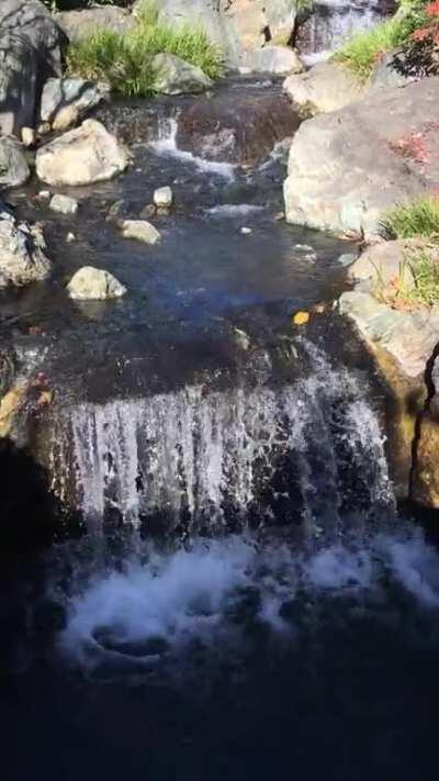 The flow of water at a Japanese shrine