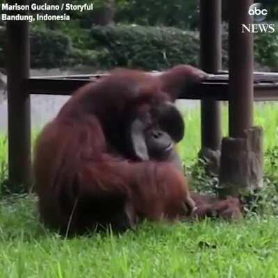 Un cigarrito pal pana