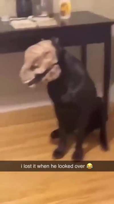 Neck turn on point 😂