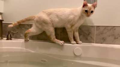 He insists that he should be able to get to the back corner of the tub - every time this happens….