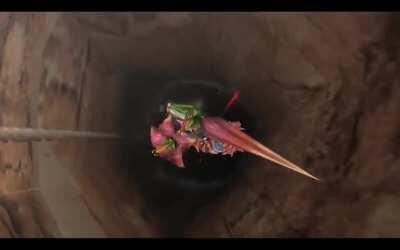 What's that Lassie? The hunter got stuck in a well?