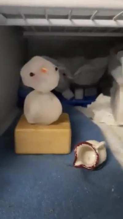 Snow Man protector of the freezer guardian of Christmas