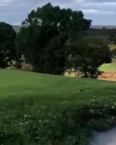 When the sun and the moon align, all becomes right within nature