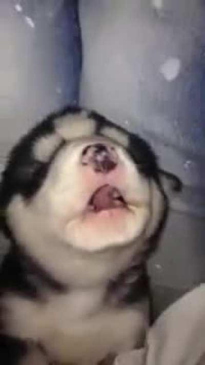 Joder quisiera abrazarlo