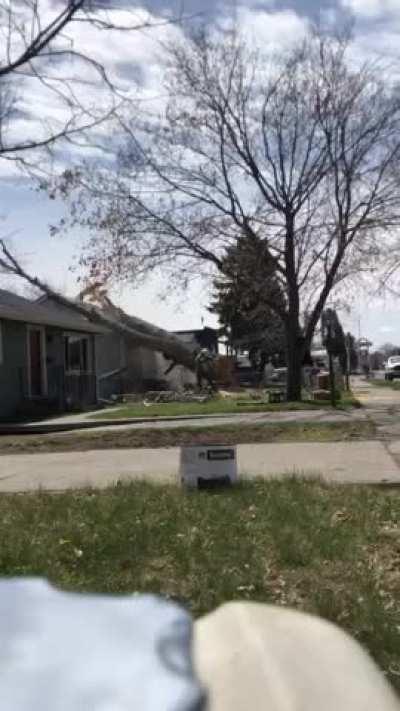 Guy Cuts Tree Which Accidentally Falls Down on the Roof of House.......