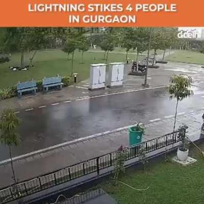 Why you shouldn’t stand under a tree during a rain shower...