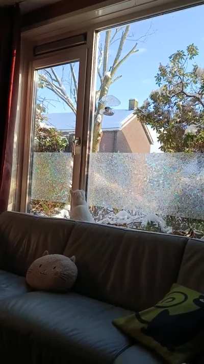 The bird is on the outside