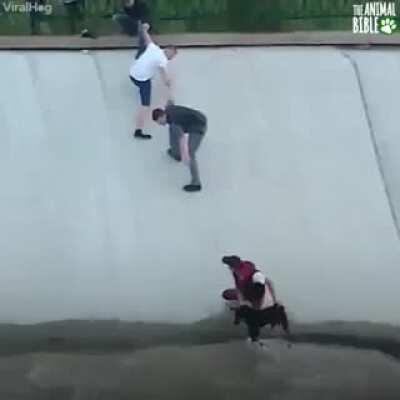 They all came together to save the day