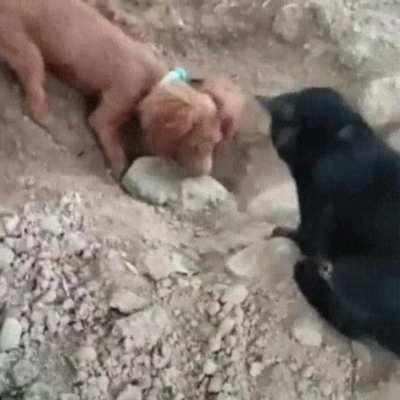 Greatest example I’ve ever seen...