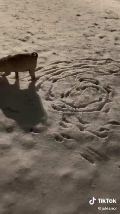 When a bro reincarnate's