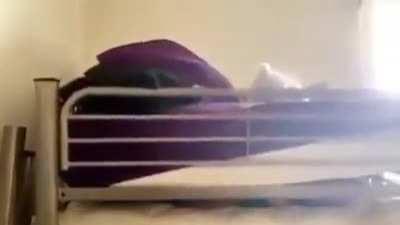 What else did she expect