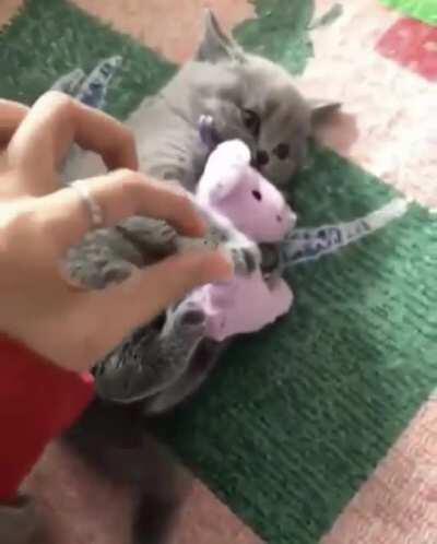 SicK fUck Tries To StEAL FrOm a BaBy