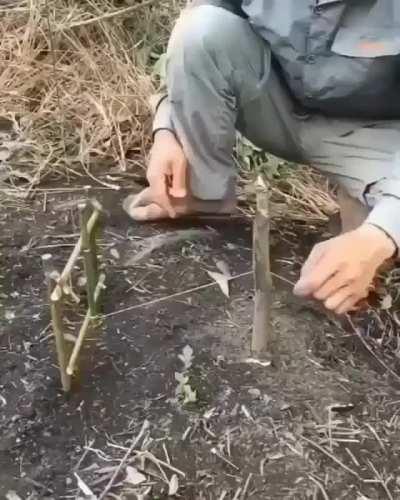 This could be a great long time fishing 