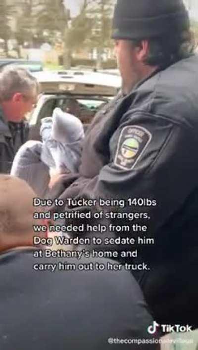 The happy ending is well worth the tears I cried through the rest of the video.