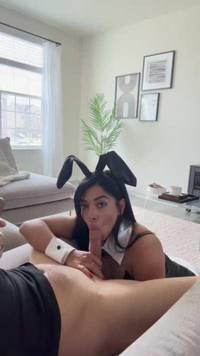 He wanted a playboy bunny so he got a playboy bunny