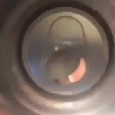 POV: You're a cutie in a can