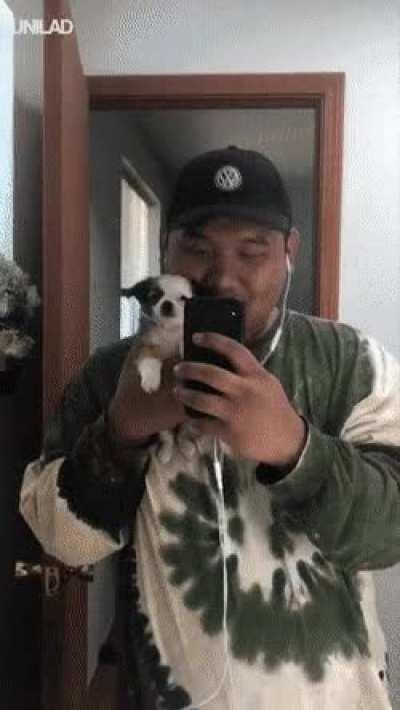 If you're illegally small and you know it wave your paw..