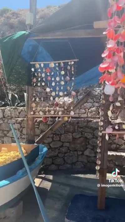 Thomo and Imogene’s vacation video